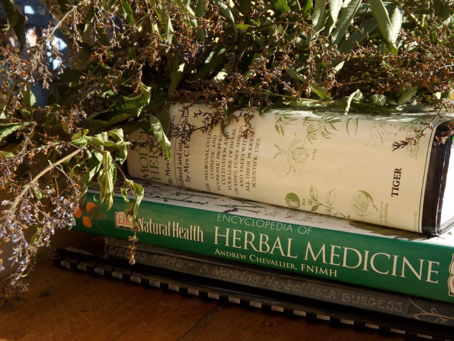 Herbal Medicine Making for Beginners