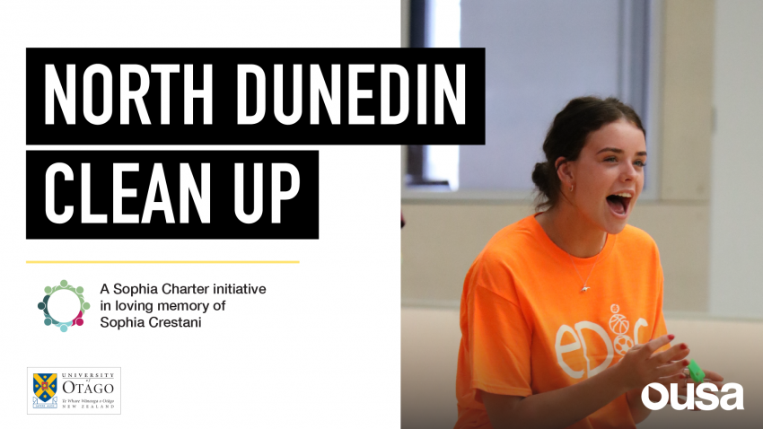 north dunedin clean up