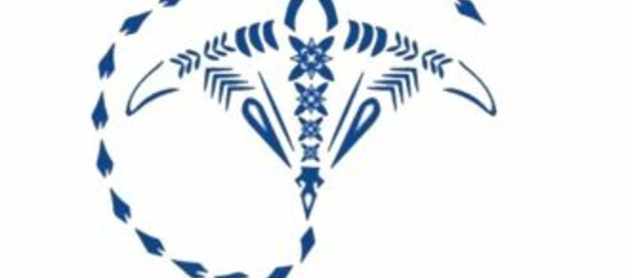 Biomedical Otago Pacific Students' Association (BOPSA)
