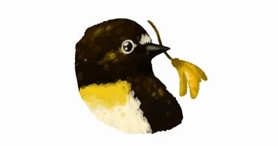 Otago University Birding Society