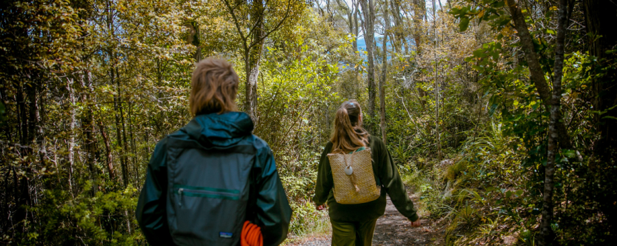Wellbeing & Wildlife at Woodhaugh – Guided by Orokonui Ecosanctuary 