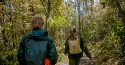 Wellbeing & Wildlife at Woodhaugh – Guided by Orokonui Ecosanctuary 