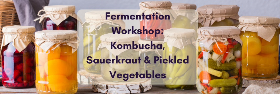 Fermentation Workshop: Kombucha, Sauerkraut & Pickled Vegetables