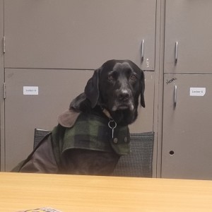 Event Morale Officer